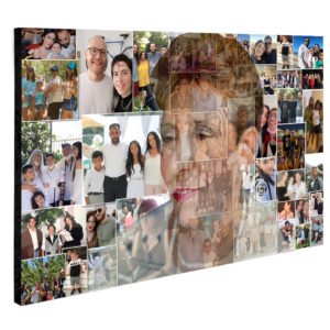 קולאז מיזוג על עץ